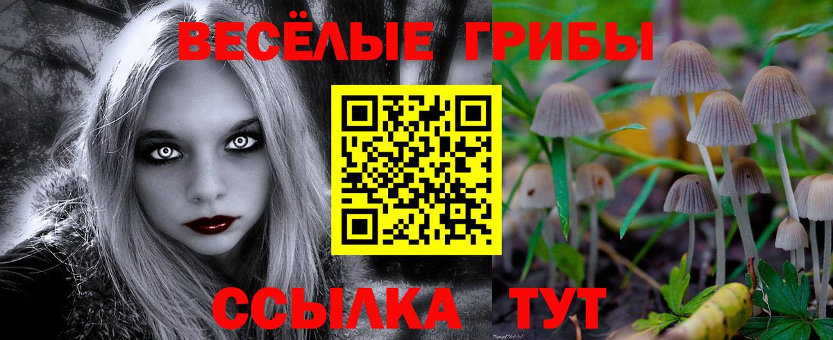 Псилоцибиновые грибы мухоморы Коммунар